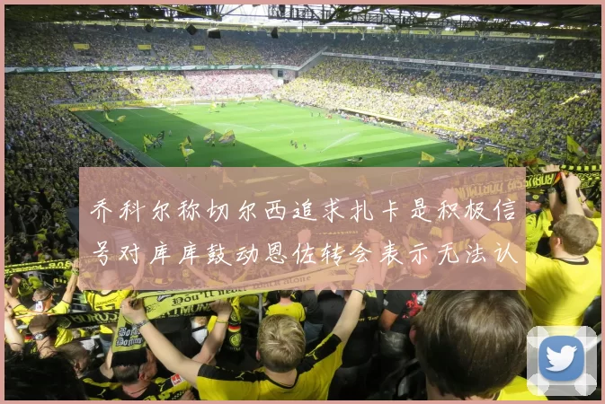 乔科尔称切尔西追求扎卡是积极信号对库库鼓动恩佐转会表示无法认同
